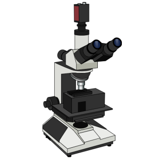Microscope