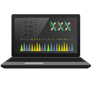 Bioinfo
